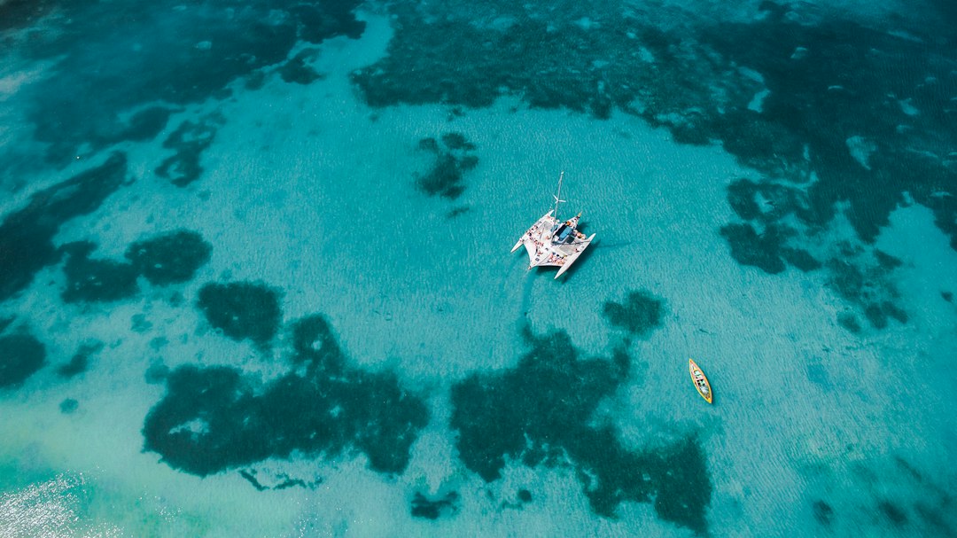A bordo del catamarán